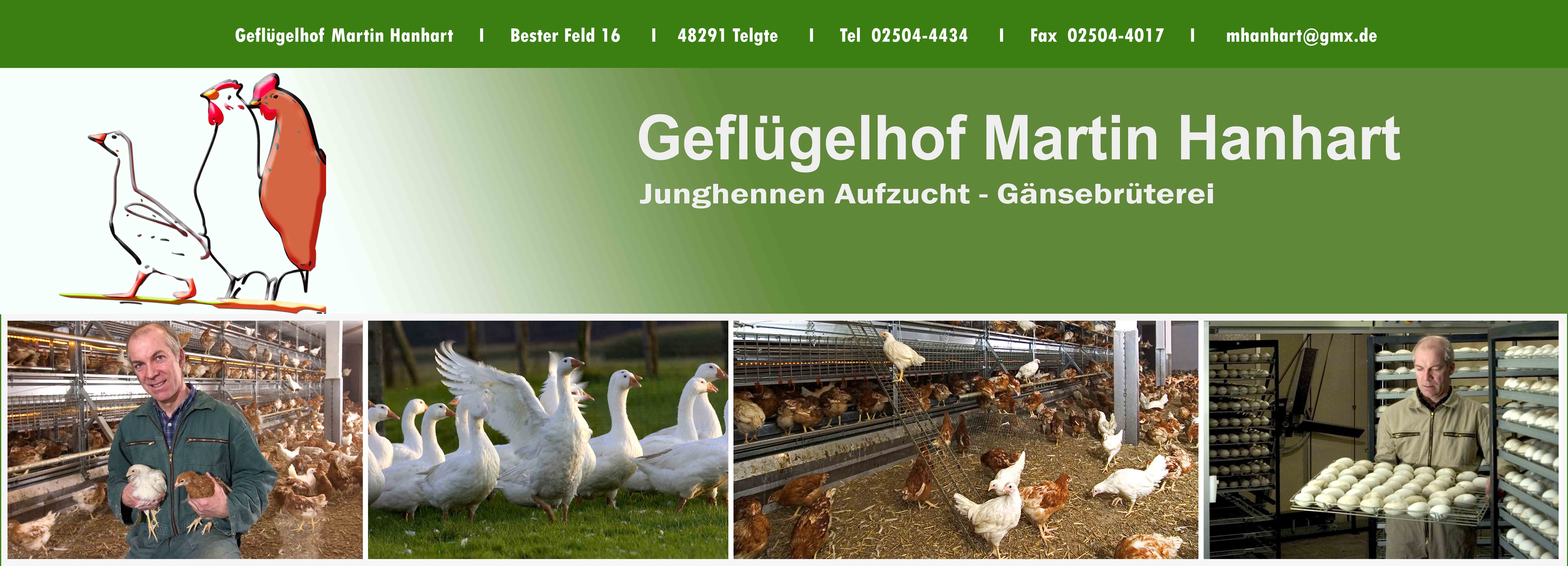 Geflügelhof-Hanhart