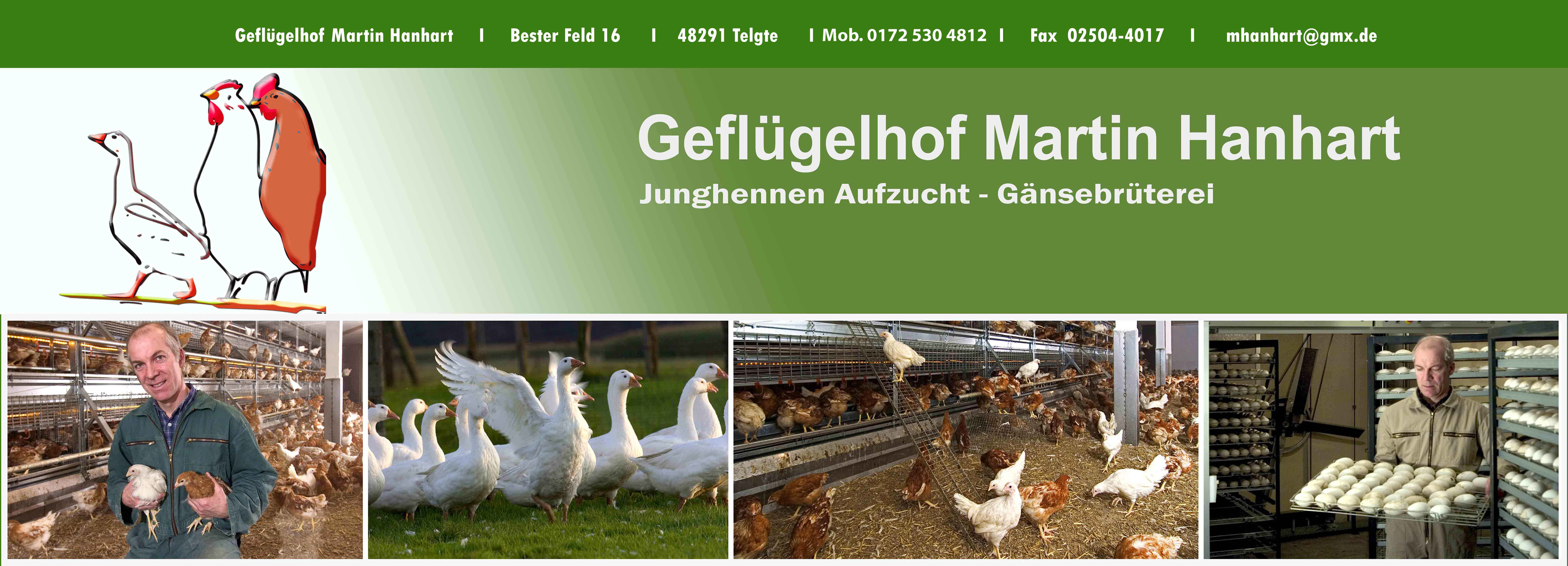 Geflügelhof-Hanhart